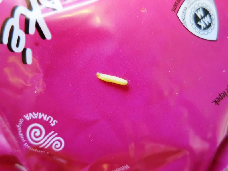 Častým problémem jsou škůdci, kterým se při špatném skladování v obilných výrobcích výborně daří