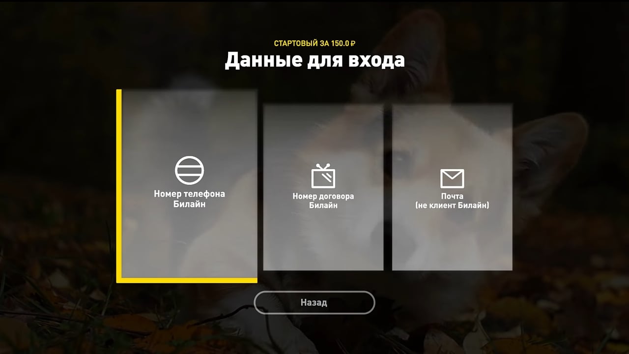 Ukázky rozhraní od firmy Kaltura - Beeline TV (VEON)