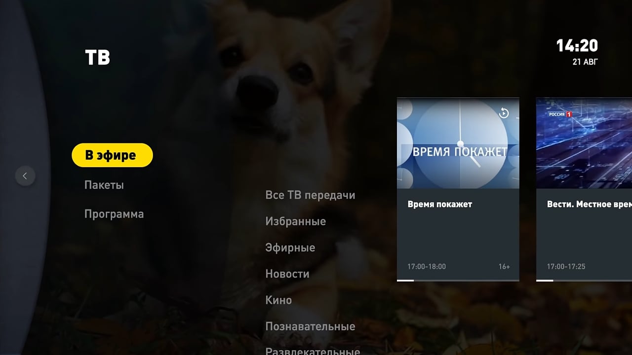 Ukázky rozhraní od firmy Kaltura - Beeline TV (VEON)