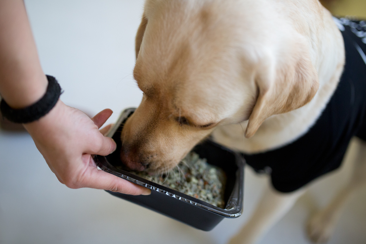Kvalitní suroviny a pečlivá hygina, tak se vaří v Health for dog