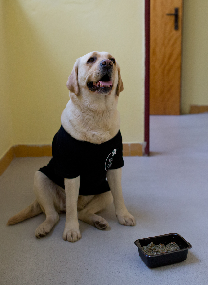 Kvalitní suroviny a pečlivá hygina, tak se vaří v Health for dog