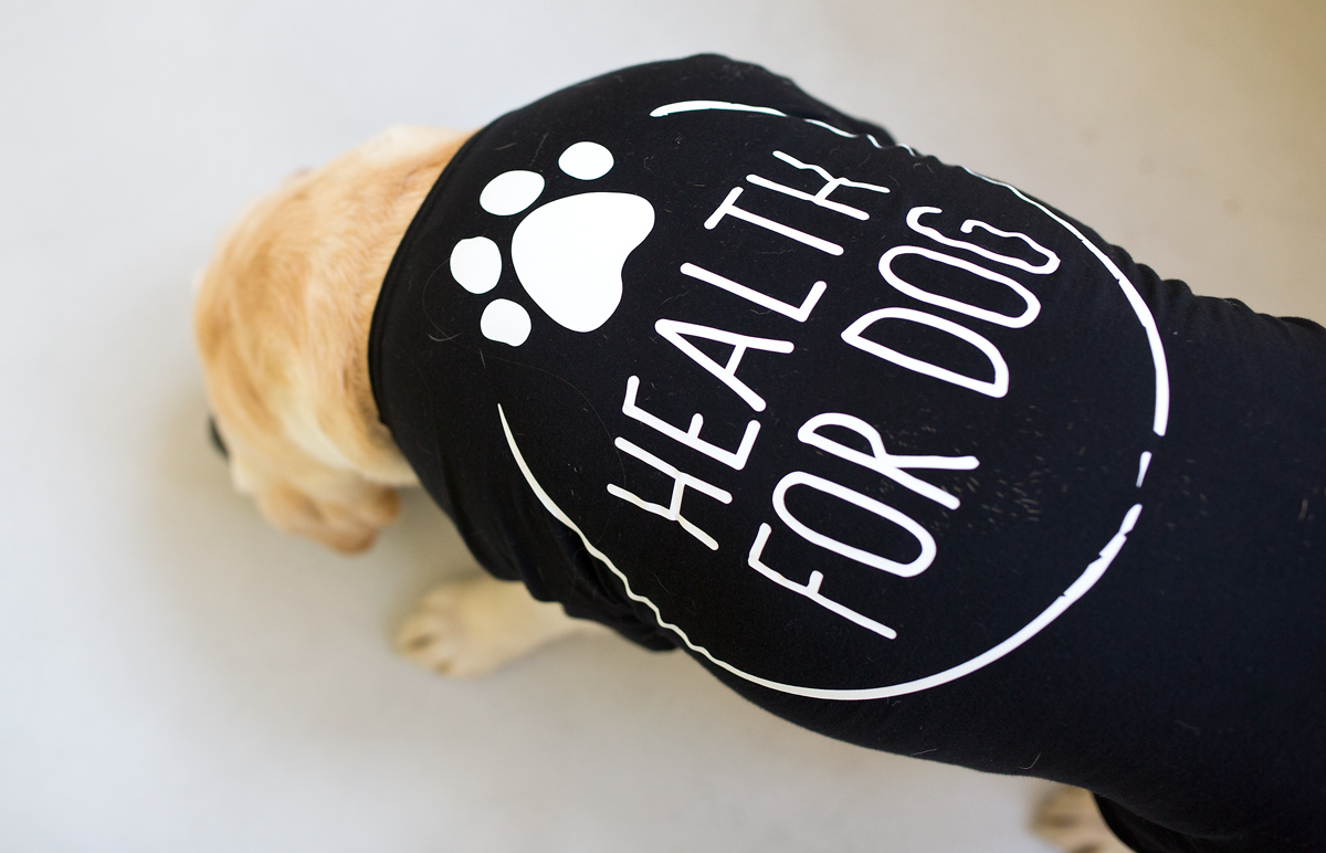 Kvalitní suroviny a pečlivá hygina, tak se vaří v Health for dog