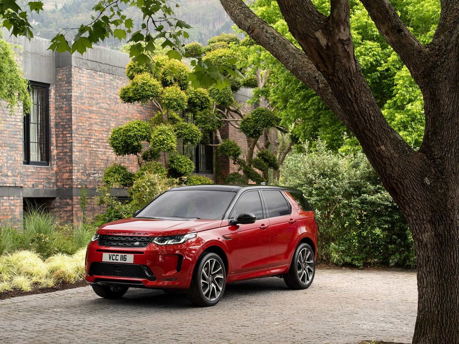 2019-08-kradeze-discovery-sport.jpg