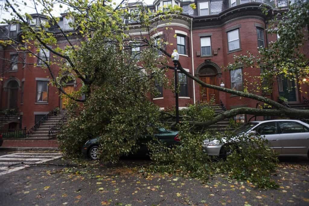 2011-03-bouc599e-sandy-ochromila-vc3bdchodnc3ad-pobc599ec5bec3ad