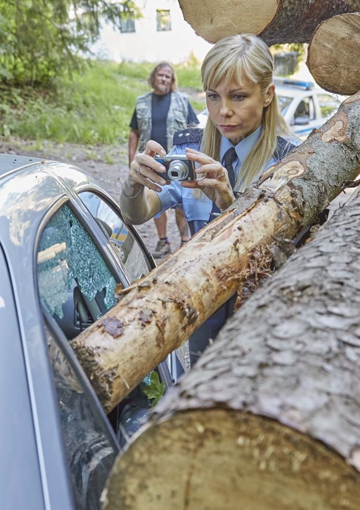 Policie Modrava, 2. řada, 2017