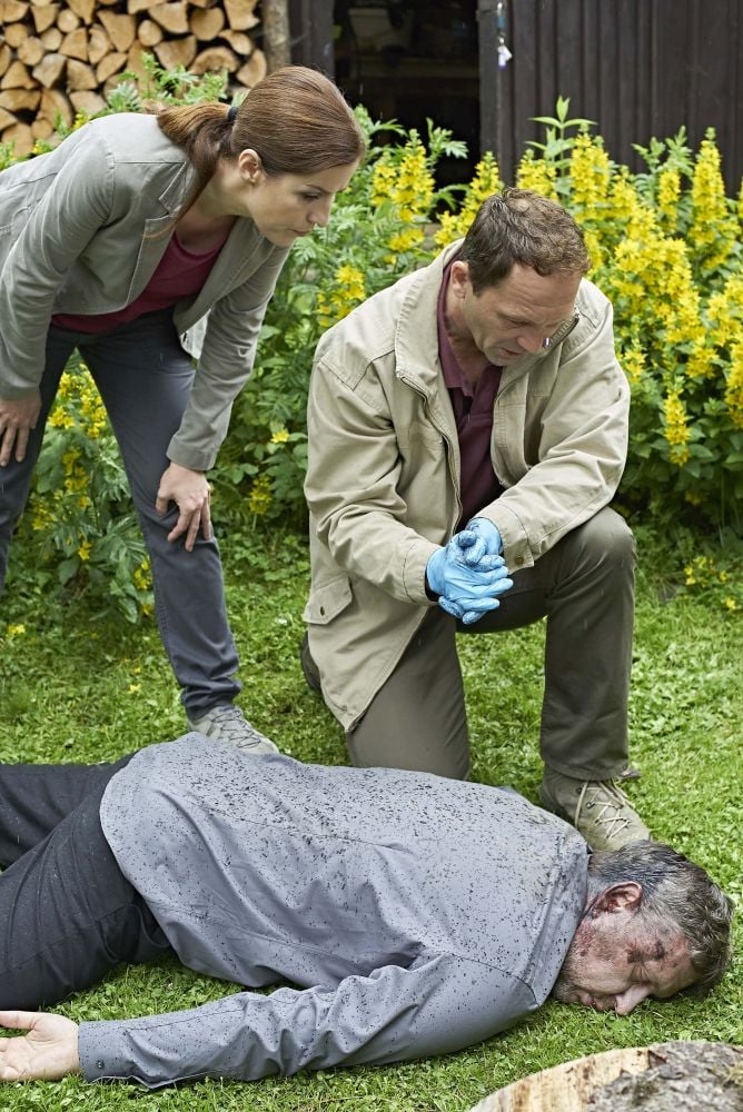 Policie Modrava, 2. řada, 2017