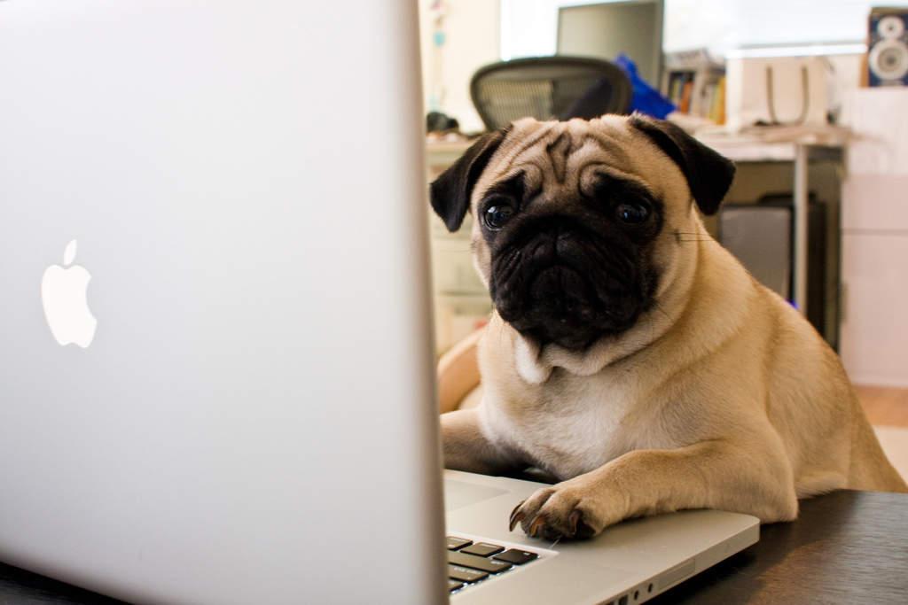 Work desk