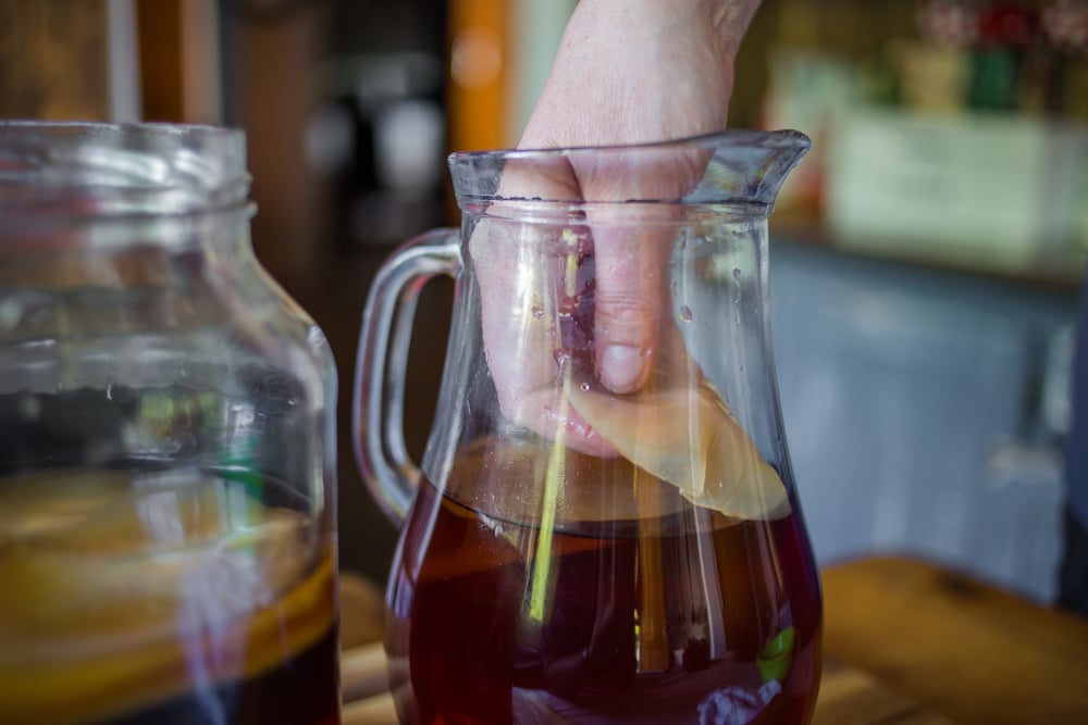 Kombucha vzniká kvašením čaje