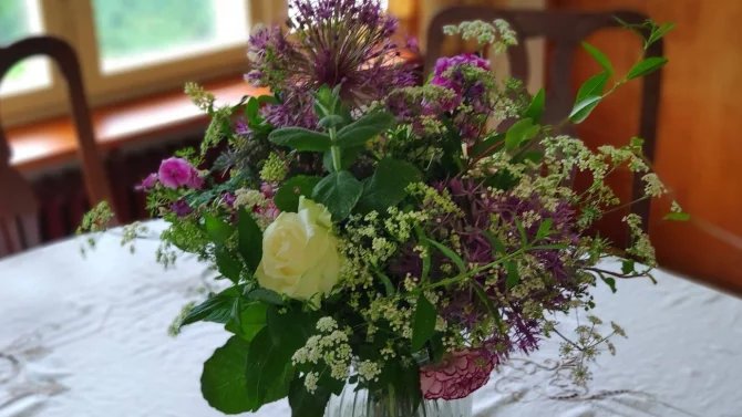 Celoživotně se věnovala své zahradě a botanice, její znalosti rostlin byly obdivuhodné, sama pěstovala rostliny a dělala vazby