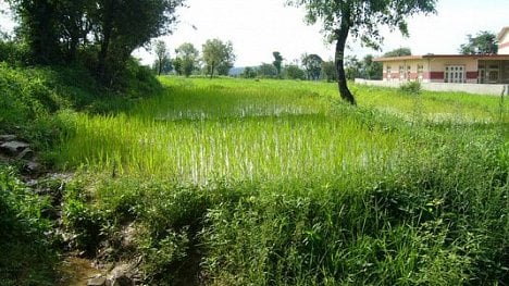 Náhledový obrázek - Indové staví nové město na řece Krišna. A nešetří při tom