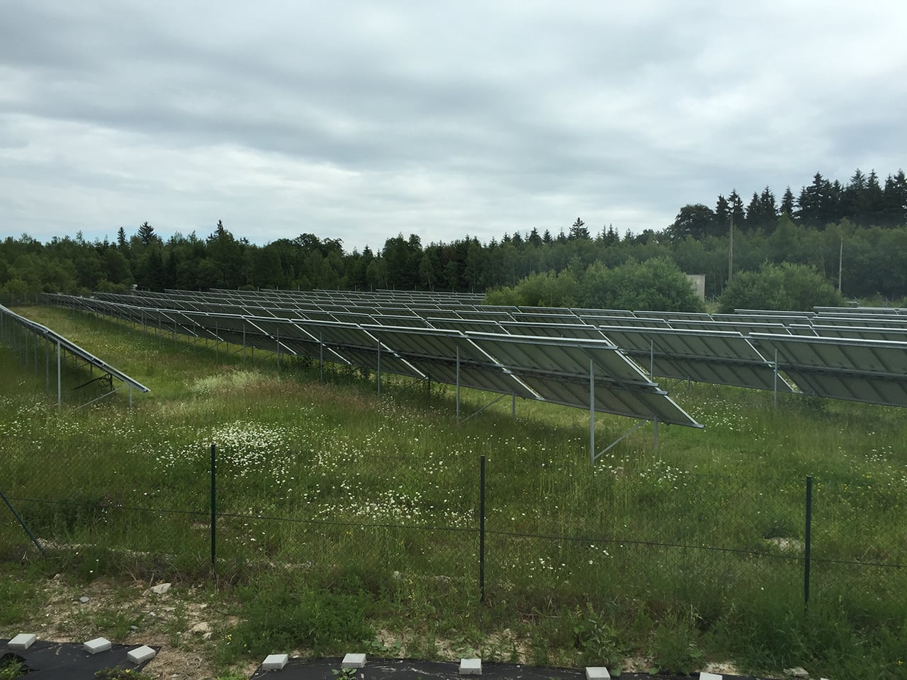Jedno ze solárních polí v rámci areálu CAVD.