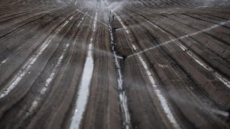 Náhledový obrázek - Deště zachránily jen část úrody. Deset procent území Česka stále trpí extrémním suchem