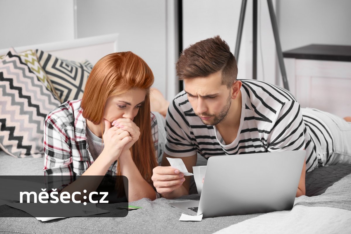 Dlužit můžete na daních i za popelnice. Jak si dluh vůči státu zkontrolovat?