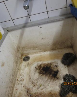 Vietnamská restaurace, Plzeň