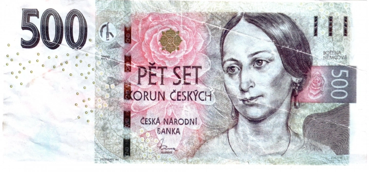 Nesprávné použití kopie pravé bankovky na reklamním voucheru. Voucher je vytištěný na křídovém papíru a již na první pohled je jasné, že jde jen o voucher a nevědomost vietnamského autora. Rozměry jsou však identické s originální bankovkou, a to je přestupek.