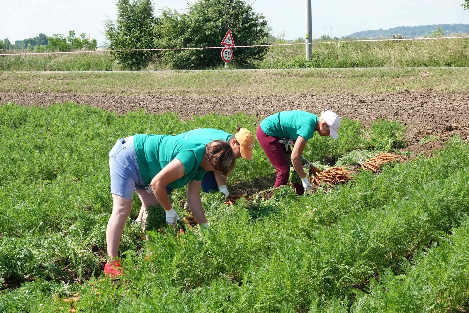 Farma Hanka Mochov