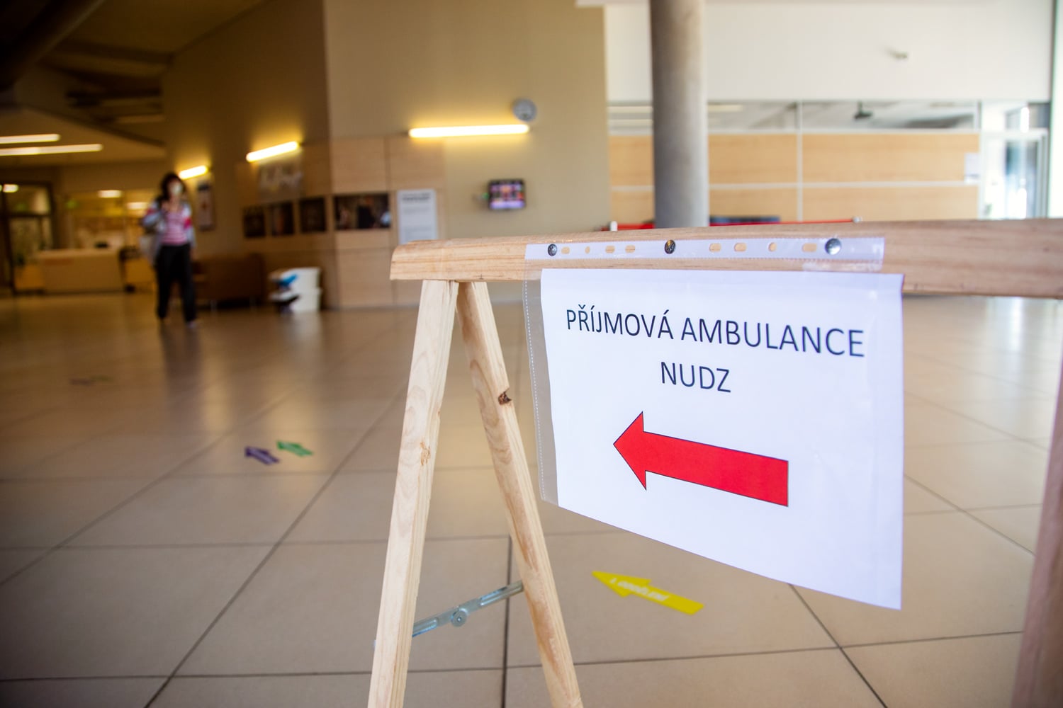 Národní ústav duševního zdraví