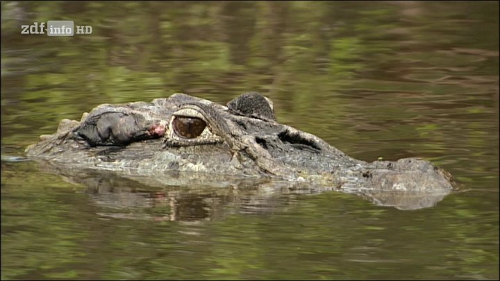Nové německé nekódované HD kanály ze satelitu Astra