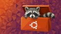 Výběr pozadí pro Ubuntu Raccoon