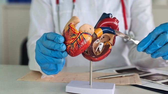 Srdce, chlopeň, implantát, chirurg