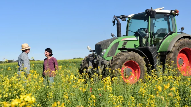 9. 8. 24 / 1x / řepka, sklizeň, traktor, zemědělec