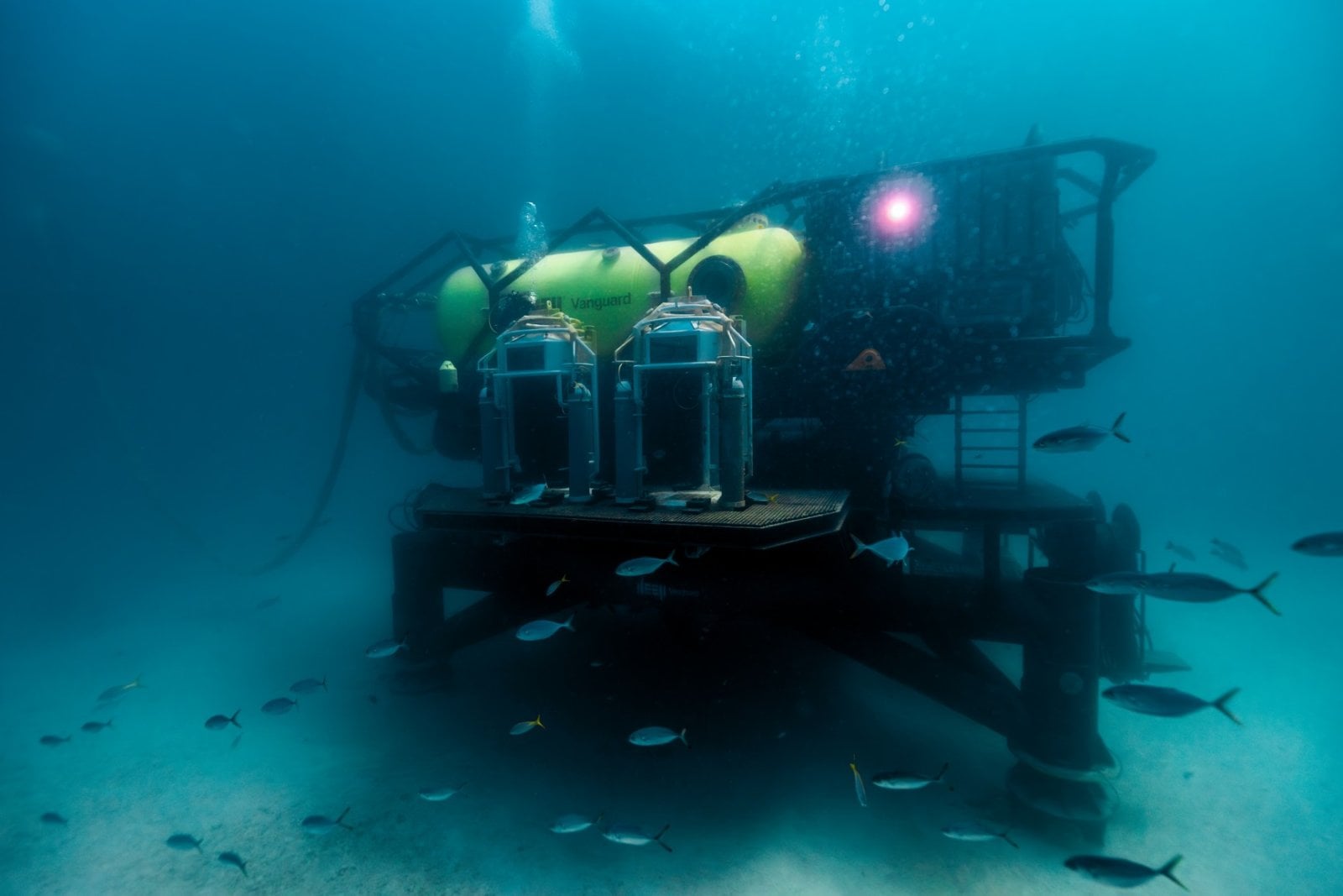 Vanguard společnosti DEEP
