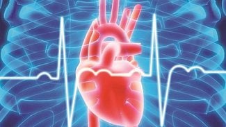 Náhledový obrázek - Cestování s kardiostimulátorem či (implantabilním) defibrilátorem