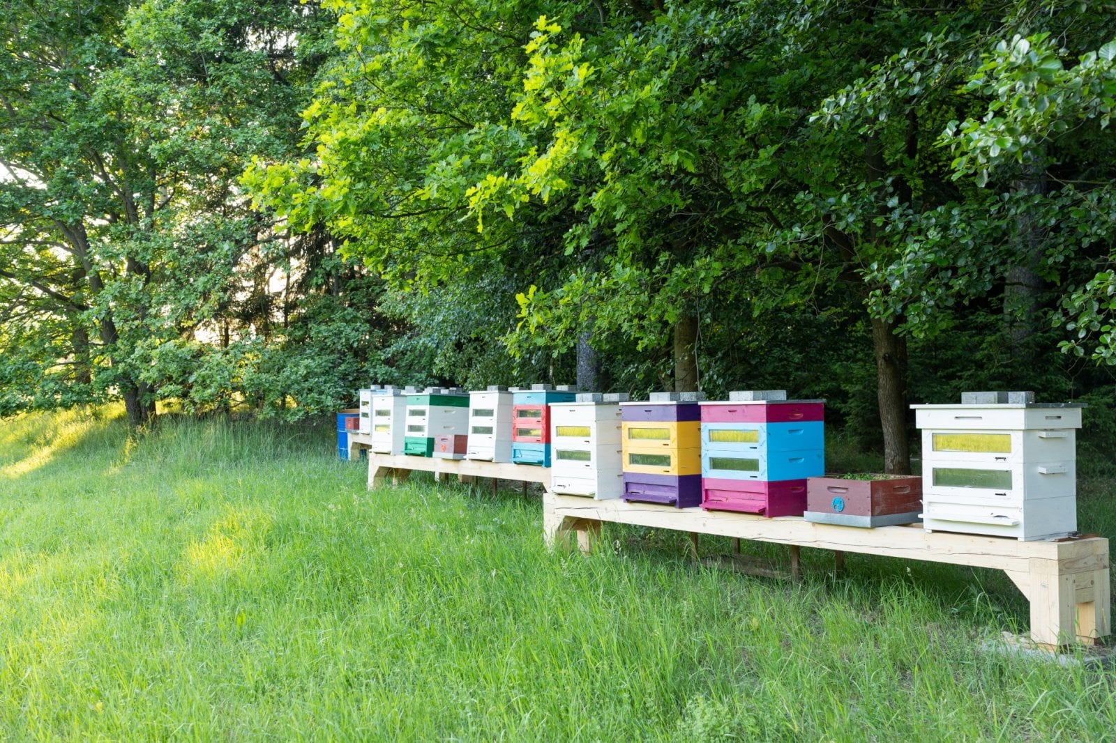 Včelí úly Včelařství Domovina