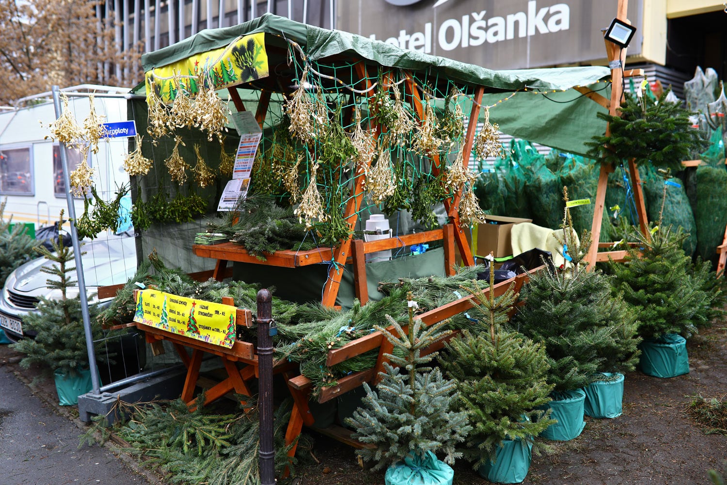 Prodej vánočních stromků 2018