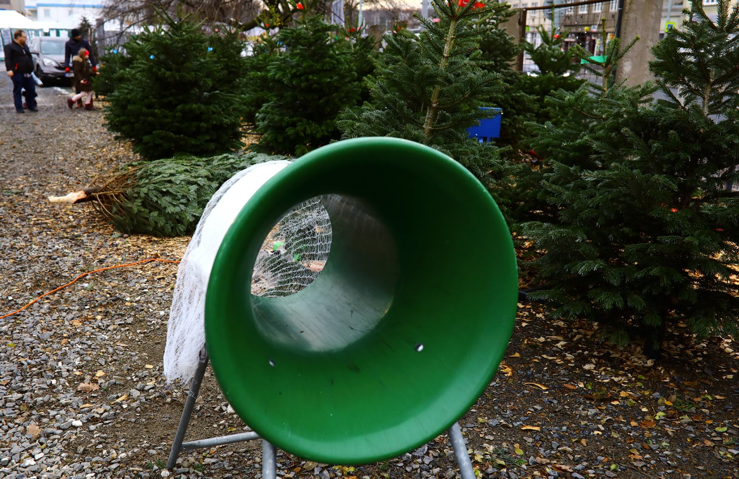 Prodej vánočních stromků 2018