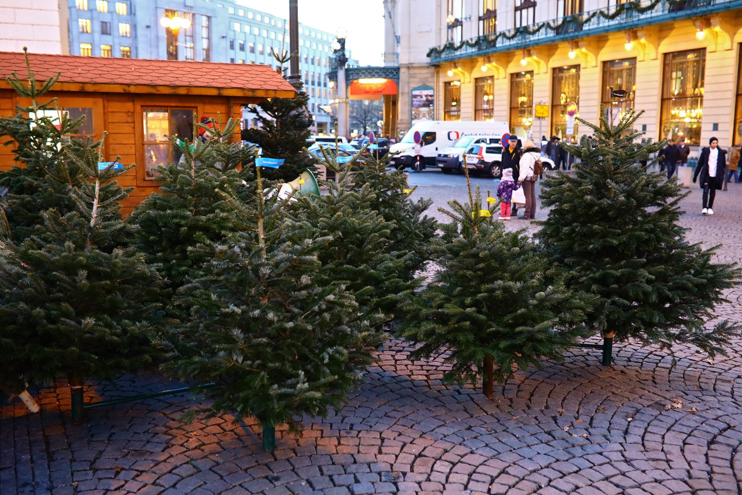 Prodej vánočních stromků 2018