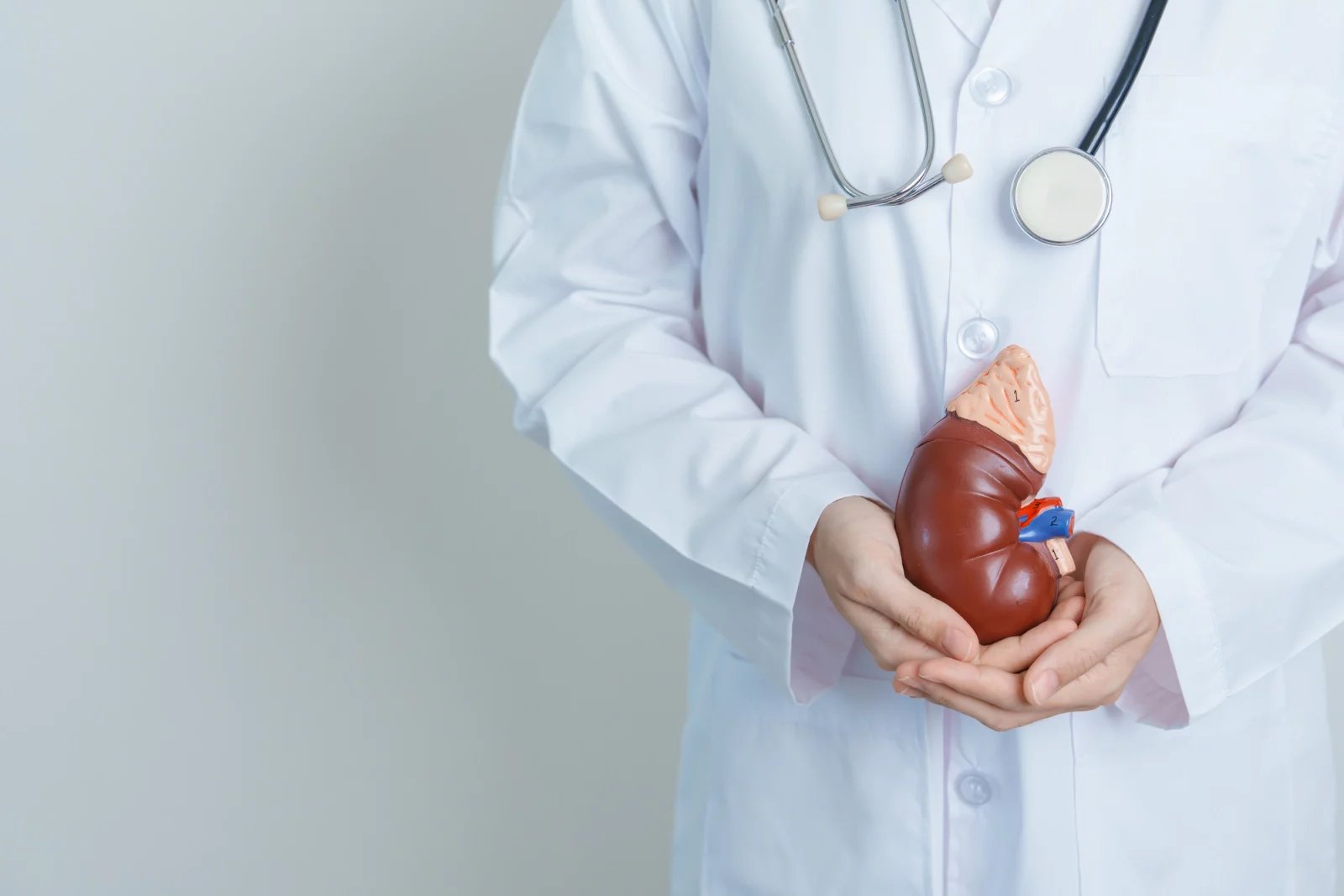 Medicína rozlišuje pět stádií selhávání ledvin, v pátém stadiu jsou přitom ledviny funkční jen asi z 10-15 %. V tomto případě pacient potřebuje transplantaci, nebo právě dialýzu. Ta je pak nutná i u akutního selhání ledvin.