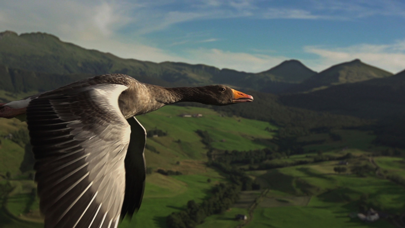 Dokumentární cyklus Divoká Francie