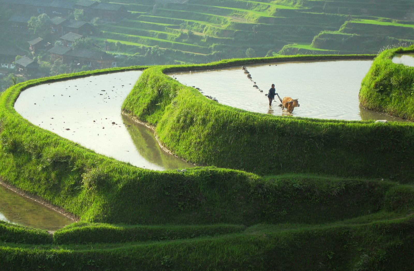 Dokumentární cyklus Divoká Čína