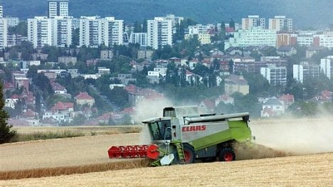 Náhledový obrázek - Sklizeň obilí letos klesne. Zůstane ale nadprůměrná