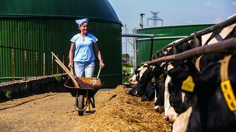 Náhledový obrázek - Odcházení Aleny Vitáskové. Kontroverzní šéfka ERÚ za sebou nechává spoušť