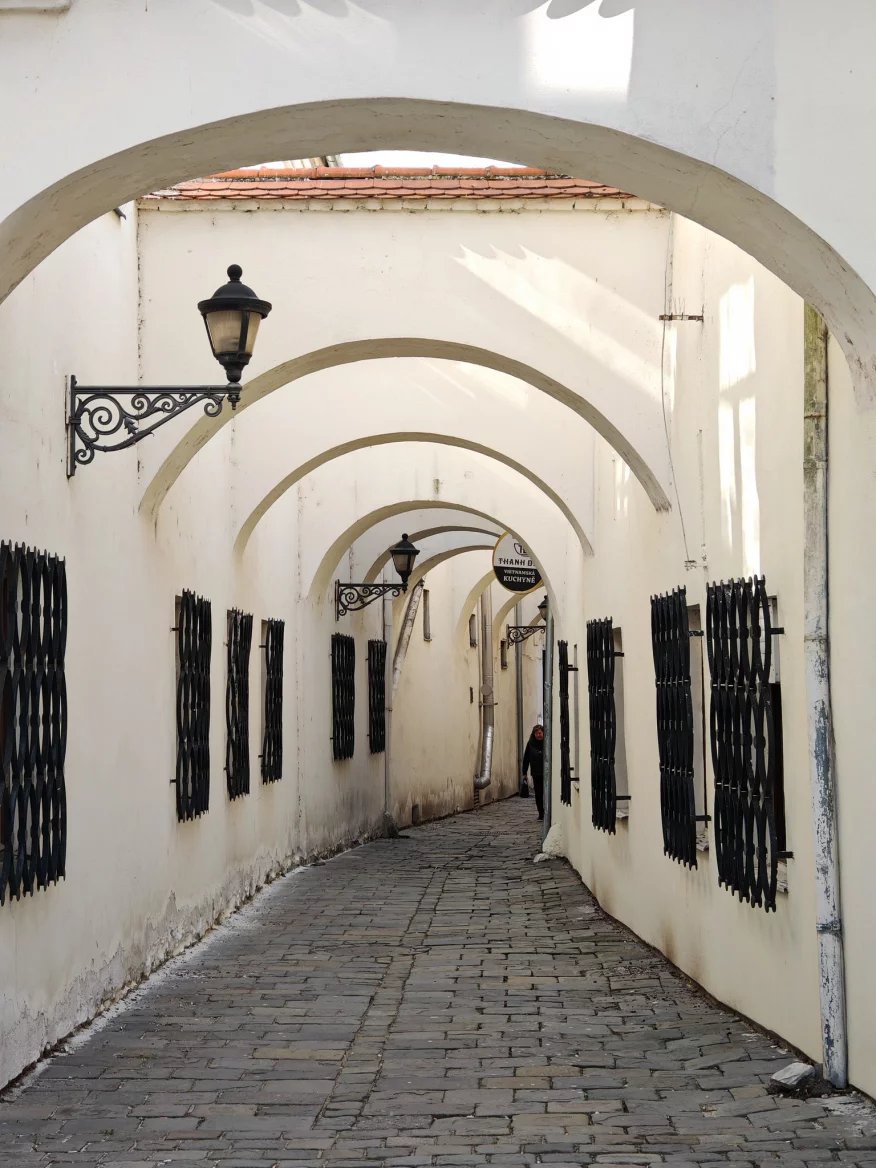 2,5násobný zoom z 180Mpx teleobjektivu