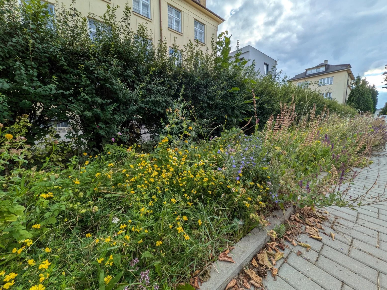 Ultraširokoúhlý 13Mpx fotoaparát