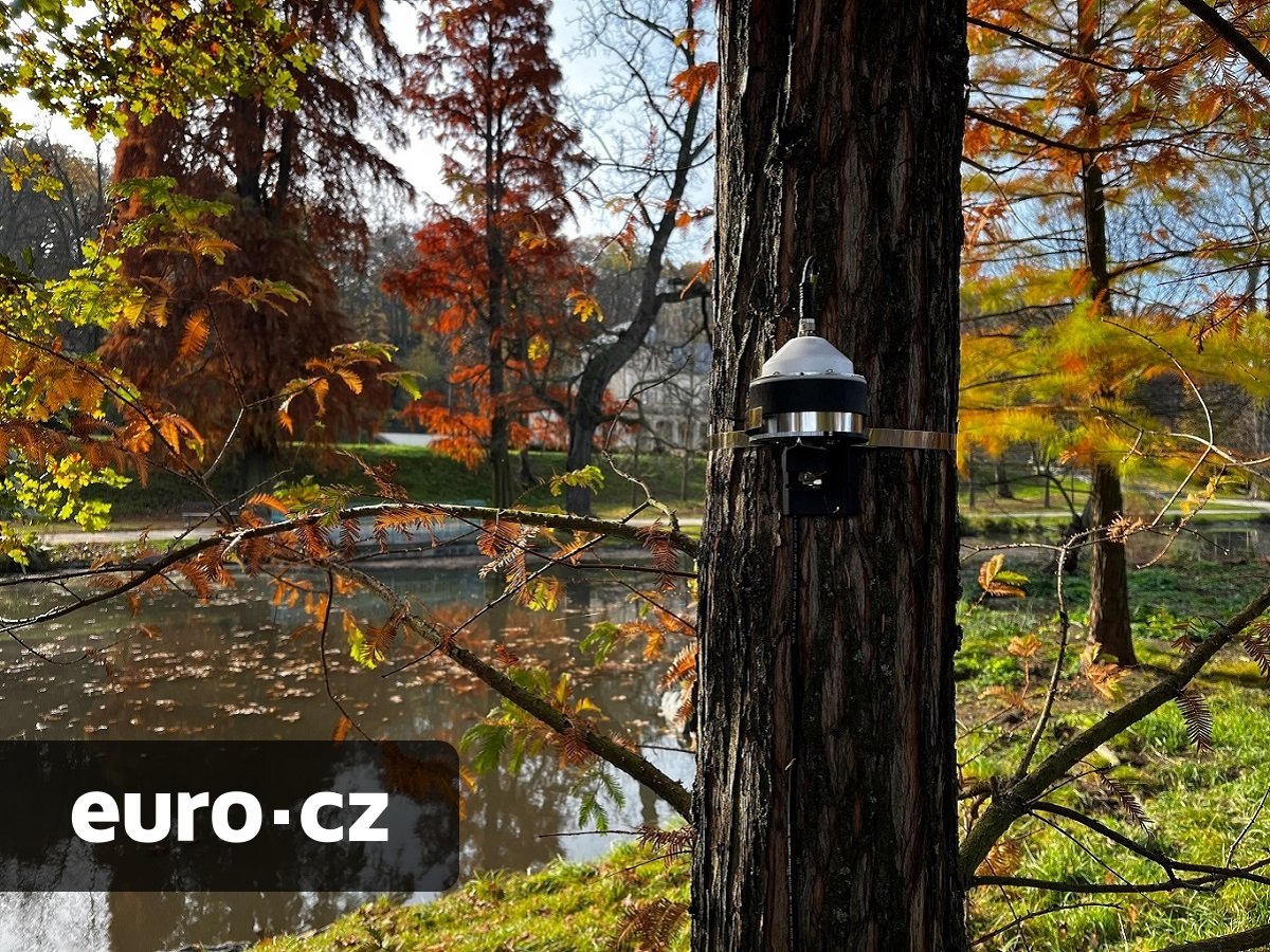 Aby byly stromy v kondici. Český startup Agdata City nabízí unikátní dendrometry, které obcím ušetří statisíce korun