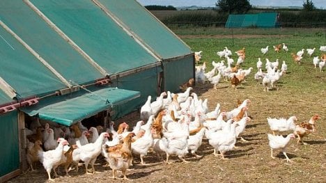 Náhledový obrázek - Zisk skupiny Agrotrade stoupl loni na 130 milionů