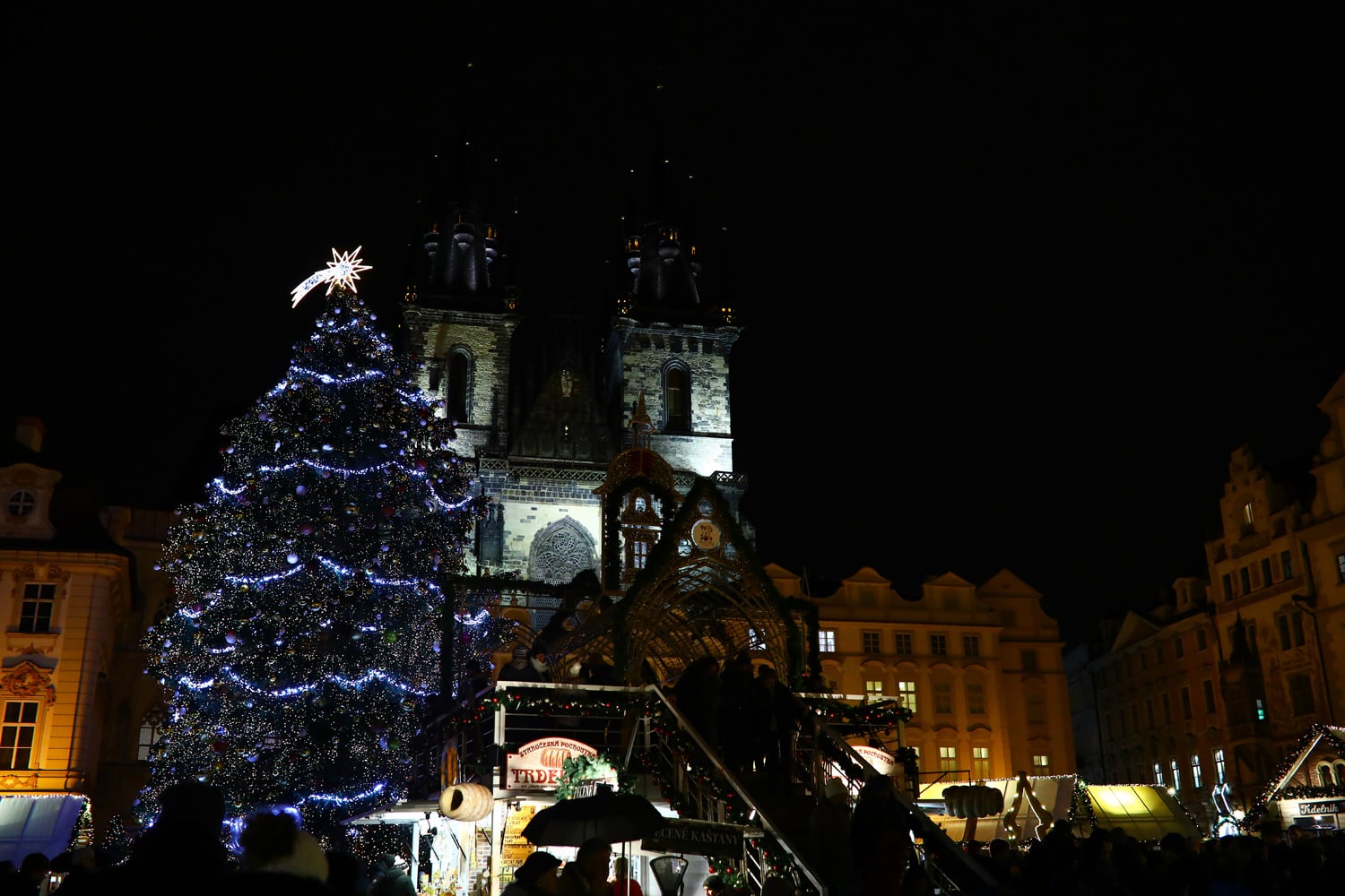 Strom na Staroměstském náměstí. Je ozdoben mimo jiné ořechy.