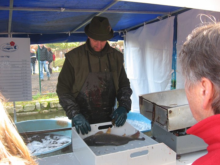 Výlov Rožmberka je gastronomickým svátkem pro milovníky ryb