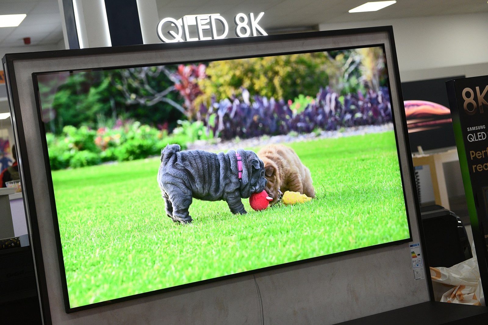 Samsung 8K QLED v Alze