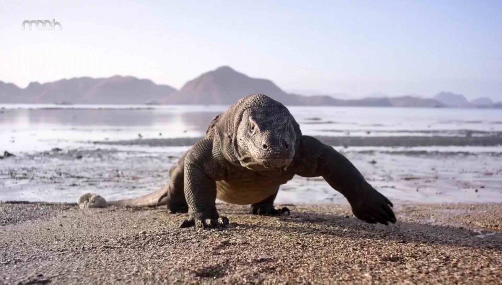 Nové satelitní FTA kanály 43 - 44. týden roku 2018