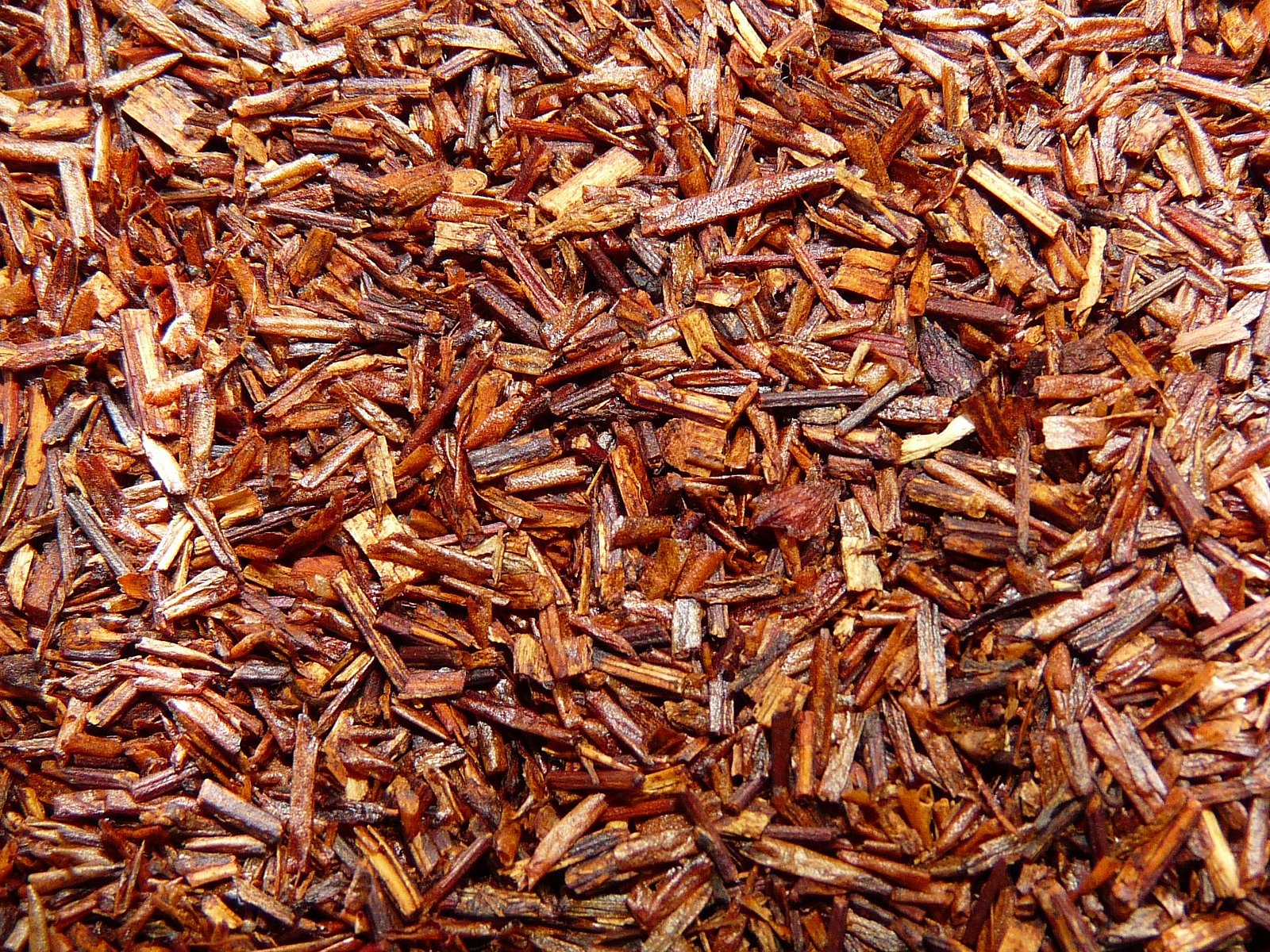 Rooibos - červený čaj