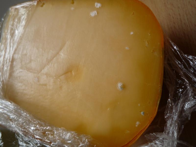 GOUDA BOCHNÍK. Kategorie: Nebezpečné potraviny. Nevyhovující parametr: plísně okem viditelné. Na povrchu potraviny se vyskytovala plíseň bílé a zelené barvy. Při kontrole nebyly zjištěny nevyhovující teploty skladování výrobku. Výrobek neměl prošlé datum použitelnosti. Země původu: Nizozemsko. Místo kontroly: Tesco Stores ČR a.s., Držovice