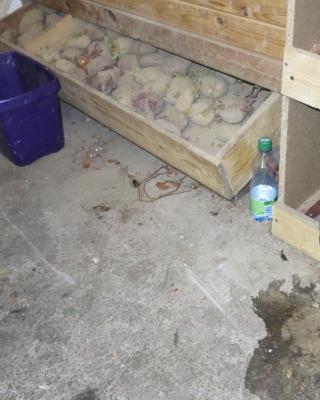 Restaurace Formanka, Vejprnice