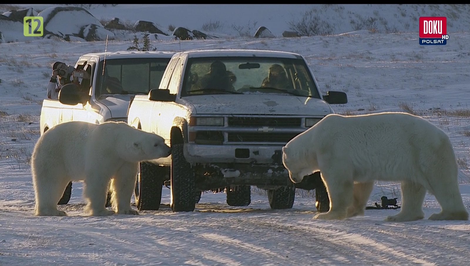 Nové hvězdy na satelitním nebi 5. až 11. února