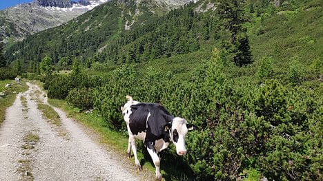 Schlegeis, Zillertal, Rakousko. (Xiaomi Mi 8)
