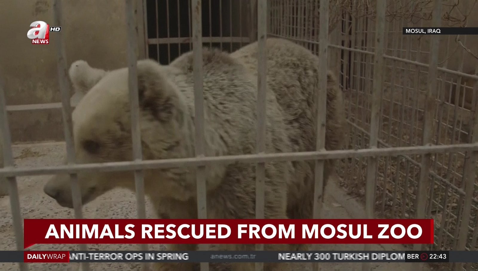 Nové hvězdy na satelitném nebi 1.-3. dubna